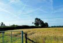 Les défis des agriculteurs français face à la récolte de blé news-08082024-152956