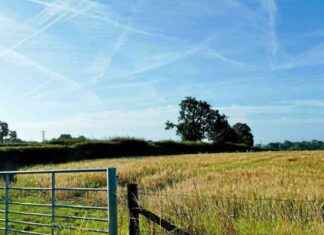 Les défis des agriculteurs français face à la récolte de blé news-08082024-152956