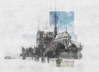 4 raisons de revisiter Notre-Dame de Paris news-08082024-153315