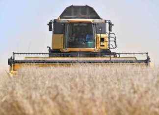 Faible récolte de blé en France : impact des importations russes sur les céréaliers news-09082024-033645