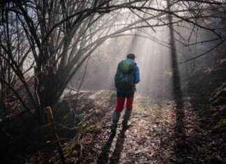 Les voyages grands sont-ils vraiment ratés selon Juliette Morice? news-13082024-063443