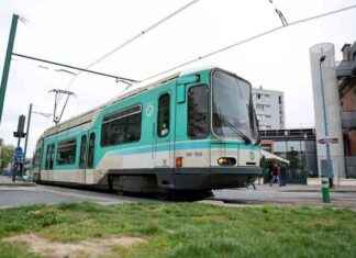 Procès Affaire Jérémie Cohen: Deux Accusés devant la Cour Criminelle news-13082024-123600