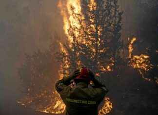 Situation des feux de forêt en Grèce ce mardi news-13082024-183858