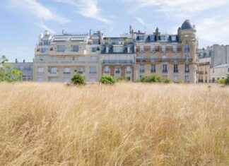 Pourquoi les prix de l’immobilier ne baissent-ils pas malgré la baisse des transactions ? news-14082024-164734