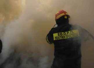 La responsabilité des autorités dans les feux de forêt en Grèce news-14082024-224244