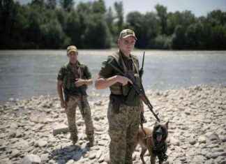 Contrebandiers de l’Ukraine de l’Ouest: Des passeurs pour déserteurs news-16082024-130510