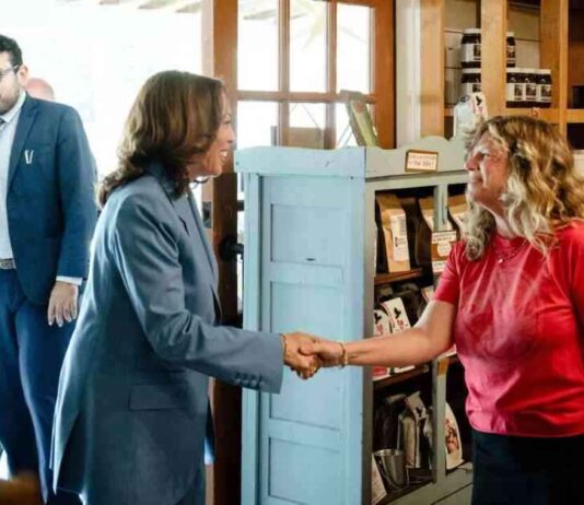 Programme économique de Kamala Harris pour les classes moyennes aux États-Unis news-17082024-070610