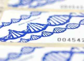 Tests ADN pour obtenir la nationalité européenne: Tout ce que vous devez savoir news-18082024-234912