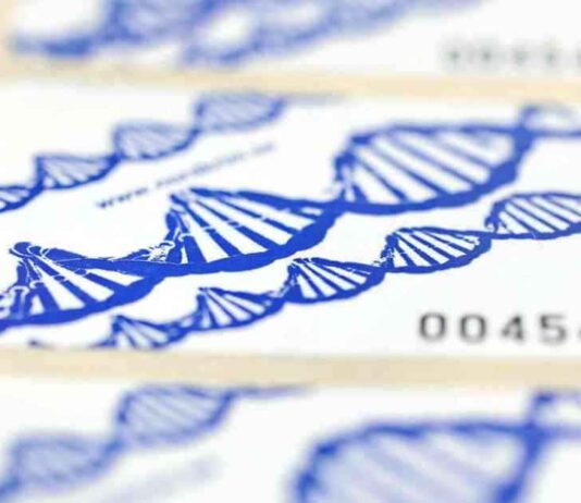 Tests ADN pour obtenir la nationalité européenne: Tout ce que vous devez savoir news-18082024-234912