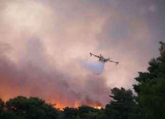 Incendie dévastateur dans un village paradisiaque d’Izmir news-18082024-235149