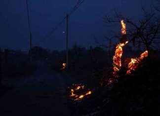 Incendie à Hérault: 300 hectares brûlés, évacuation de dizaines d’habitations news-18082024-235226