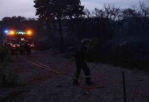Feux maîtrisés dans l’Hérault et les Pyrénées-Orientales: Actualités en Occitanie news-19082024-115725