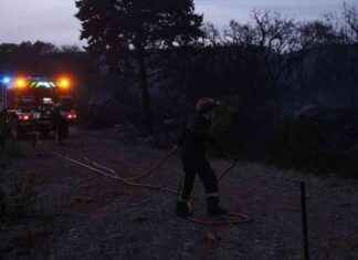 Feux maîtrisés dans l’Hérault et les Pyrénées-Orientales: Actualités en Occitanie news-19082024-115725