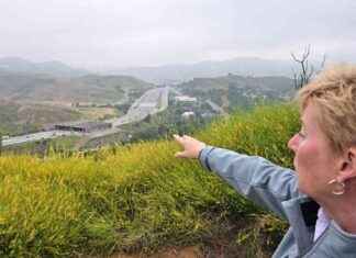 Un immense pont pour animaux à Los Angeles: une solution pour sauver les pumas news-20082024-120656