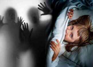 Décryptage de « Dors ton sommeil de brute » de Carole Martinez news-21082024-175839