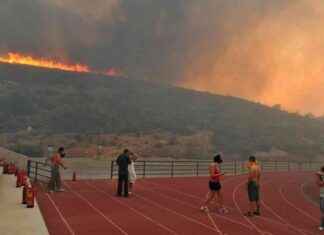 Athènes : Impact des mégafeux sur le climat et l’environnement news-22082024-060016