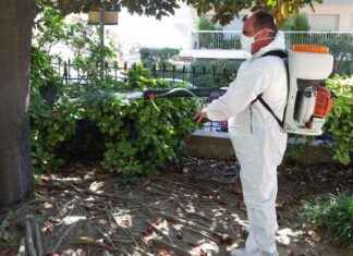 Cinq nouvelles contaminations par le virus du Nil occidental dans le Var news-30082024-020433