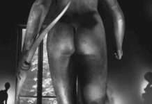 Portrait du célèbre voleur d’art Stéphane Breitwieser news-05092024-022147