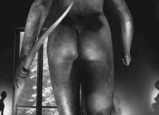 Portrait du célèbre voleur d’art Stéphane Breitwieser news-05092024-022147