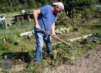 Travaillisme écologique: Vision d’Erwan Ruty pour un avenir durable news-10092024-053222