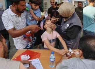 Vaccination anti-polio à Gaza: un succès pour l’aide humanitaire news-13092024-101532