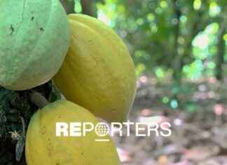 Enquête sur le trafic de cacao en Afrique de l’Ouest news-13092024-141928