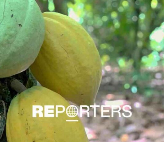 Enquête sur le trafic de cacao en Afrique de l’Ouest news-13092024-141928