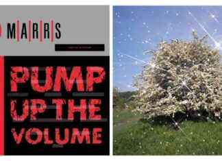 Reprise: Augmentez le Volume – Guide Complet sur la Musique Amplifiée news-15092024-083035