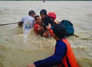 Typhon Bebinca : Shanghai ferme ses aéroports pour raisons de sécurité news-15092024-163834