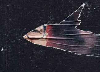 Pourquoi la ruralité désespère de la gauche, Jean-Luc ? news-18092024-144236