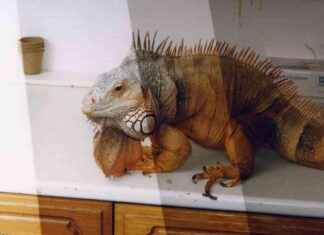 Oliver Frank Chanarin : L’importance de la relation entre spectateur et image news-21092024-125805