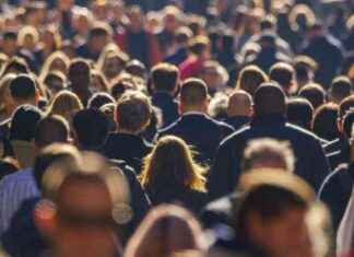 Les différentes catégories de richesse en France news-23092024-103908