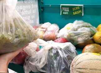 Les Français gaspillent en moyenne 25 kilos de nourriture par an news-23092024-103944