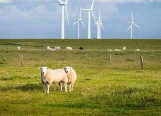 Innovation climatique : l’audace de l’action rapide news-23092024-173830