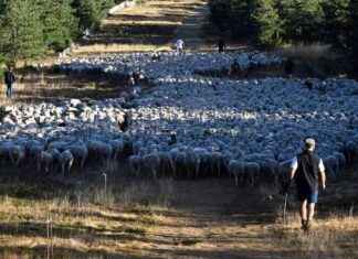 Siffler sur la montagne: Guide complet pour débutants news-26092024-065120