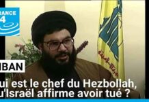 Profil de Hassan Nasrallah, chef du Hezbollah: qui est-il vraiment ? news-28092024-130715
