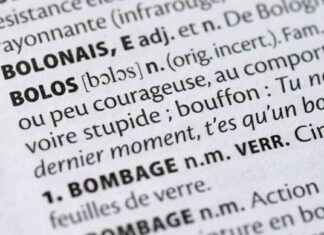 La vitalité du français à travers le langage des quartiers news-05102024-144923