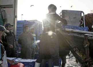 Les défis de l’annulation des accords de pêche et d’agriculture UE-Maroc news-15102024-132917