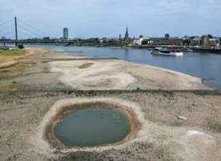 Seulement 37 % des eaux de surface en bonne santé écologique en Europe news-17102024-134321