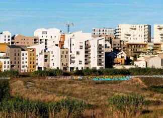 Montpellier: Défis et enjeux d’une métropole en croissance news-21102024-075810