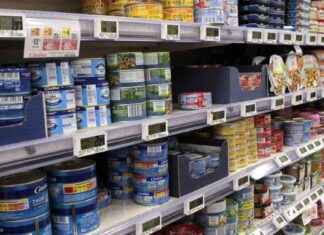 Nouvelles révélations sur le taux de mercure dans le thon: Bloom tire la sonnette d’alarme news-29102024-090731