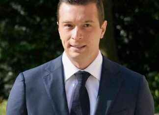 Le nouveau chapitre de la mainmise de Vincent Bolloré chez Fayard news-31102024-065608