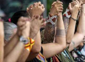 Journée finale de la COP16 biodiversité: tensions financières Nord-Sud news-01112024-114001