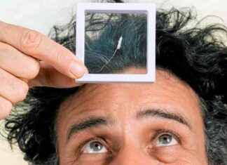 Bertrand Duplat: Réparer le Cerveau avec Passion news-03112024-210842