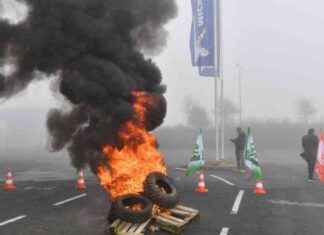 Auchan et Michelin Annoncent des Milliers de Suppressions d’Emplois: Impact et Réactions news-05112024-164333