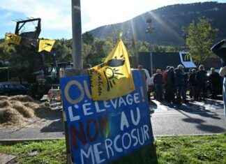Accord Mercosur: Mobilisation des agriculteurs français – Pourquoi ? news-14112024-212728