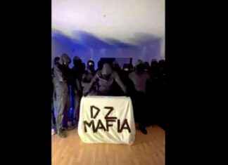 Narcotrafic : la menace de la cartelisation de la DZ Mafia news-15112024-092915