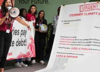 Financements innovants pour le climat : De l’aviation aux super-riches news-15112024-153026