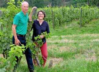 Le vin sélectionné pour la messe à Notre-Dame de Paris news-15112024-213028