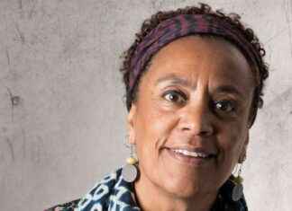 L’influence des médias sociaux sur la jeunesse africaine: Entretien avec Véronique Tadjo news-16112024-213259